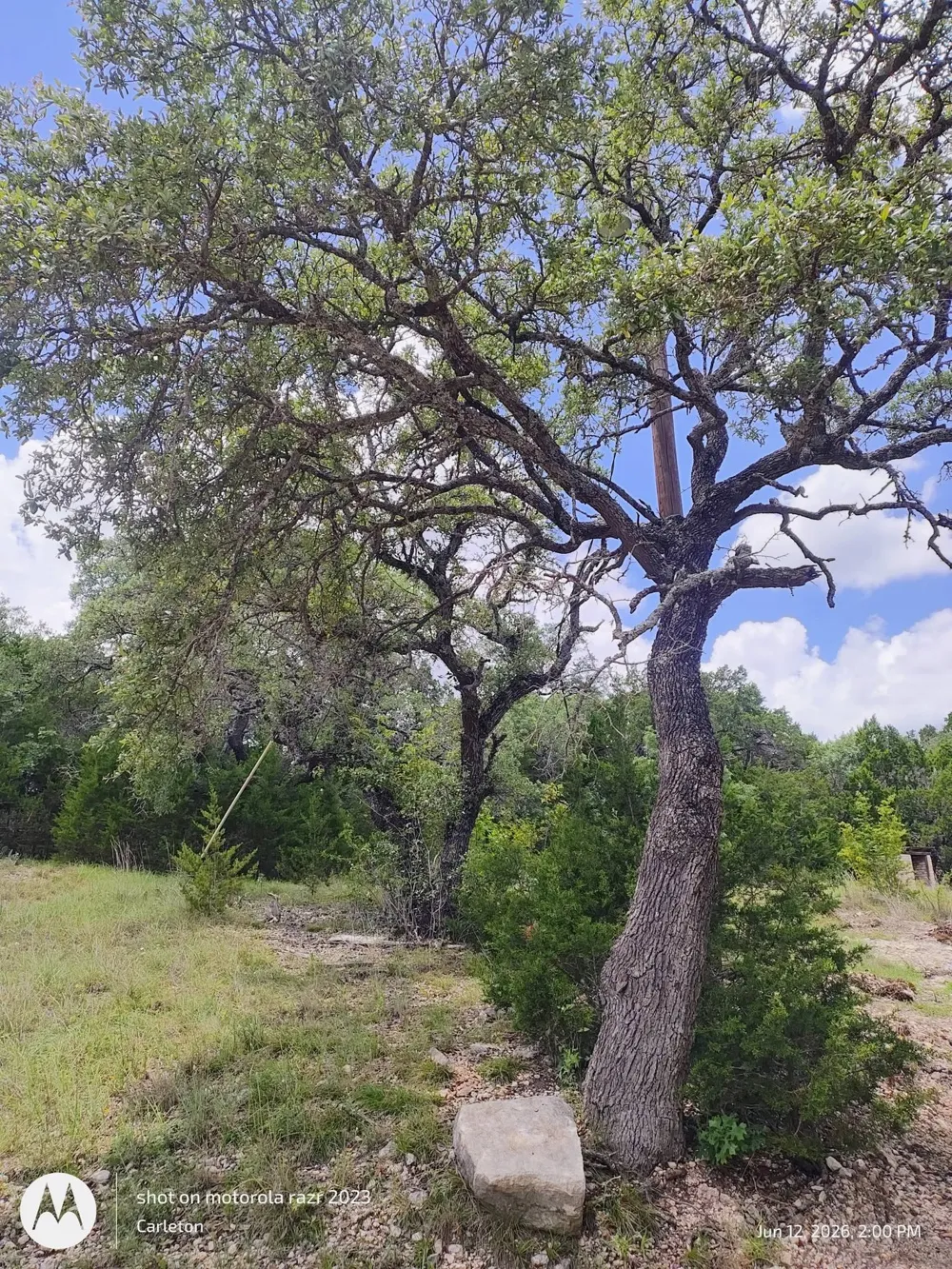 131 Spur 440 Florence, TX 76527