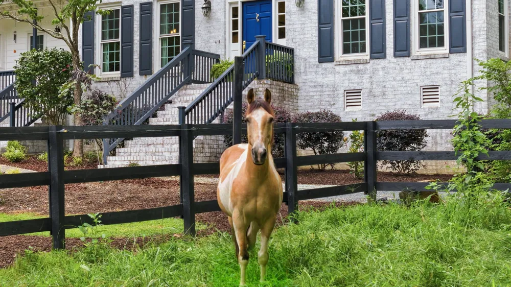 504 Appaloosa Trail Bahama, NC 27503