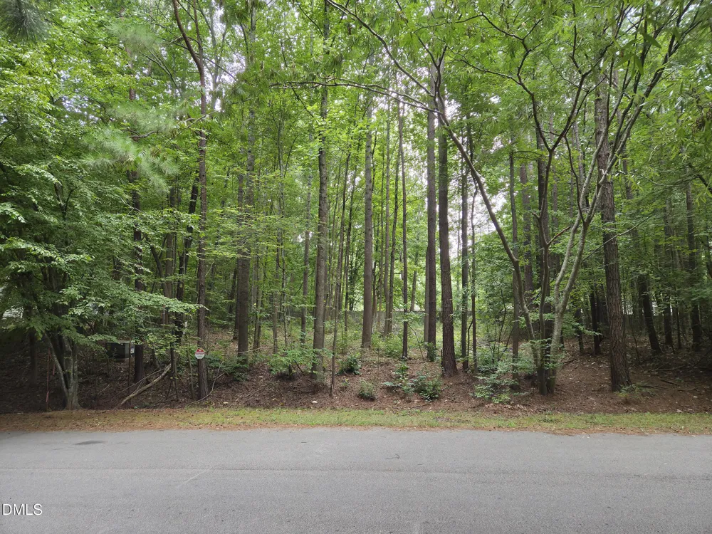 5009 Holly Brook Drive Apex, NC 27539