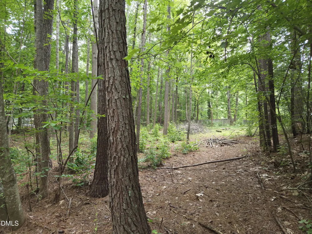 5009 Holly Brook Drive Apex, NC 27539