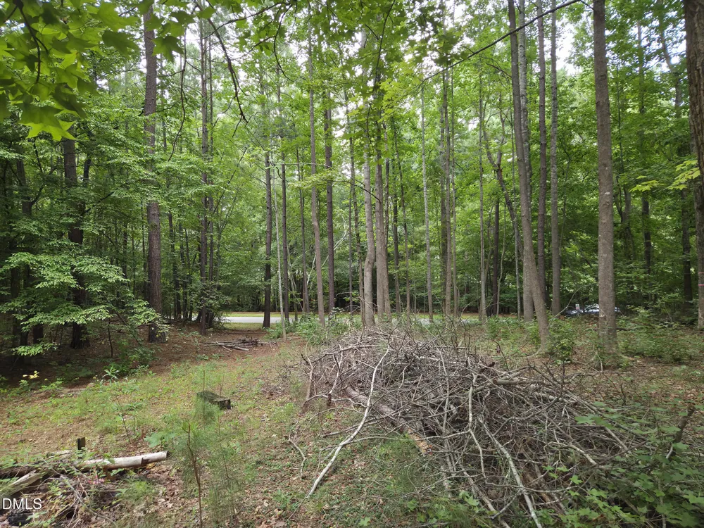5009 Holly Brook Drive Apex, NC 27539