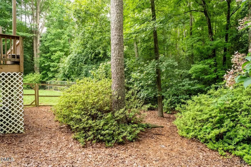 6604 Willow Chase Drive Willow Springs, NC 27592