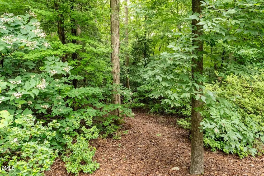 6604 Willow Chase Drive Willow Springs, NC 27592