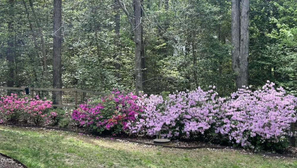 6604 Willow Chase Drive Willow Springs, NC 27592