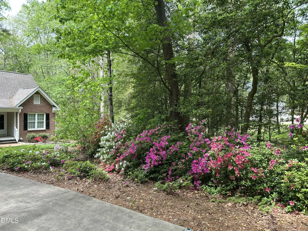 6604 Willow Chase Drive Willow Springs, NC 27592