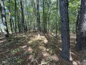 3 Whittington Road Angier, NC 27501