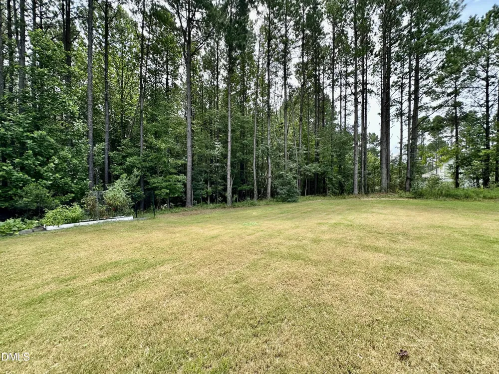 924 Weatherby Lane Creedmoor, NC 27522