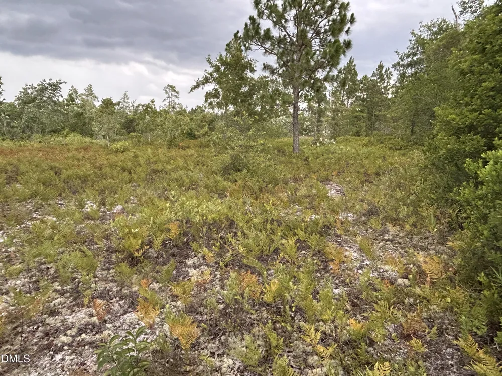 0000 Autrytown Road Elizabethtown, NC 28337