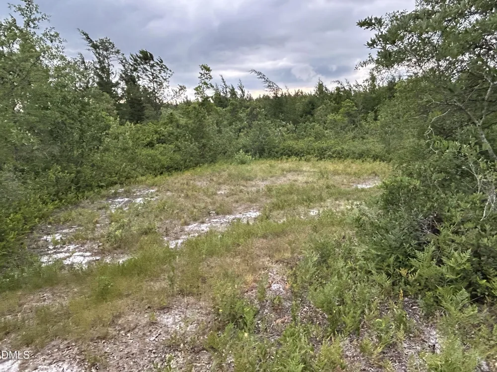 0000 Autrytown Road Elizabethtown, NC 28337
