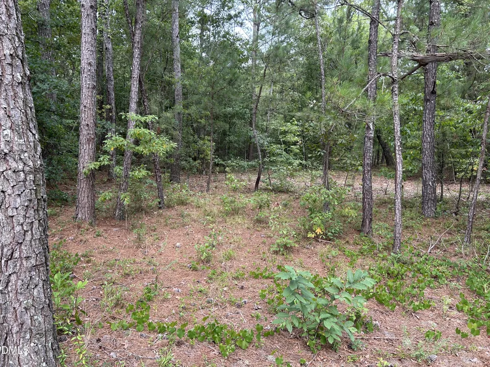 0000 Autrytown Road Elizabethtown, NC 28337