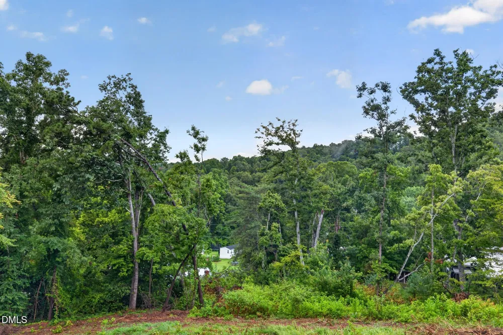 15 Briar Ridge Drive Fairview, NC 28730