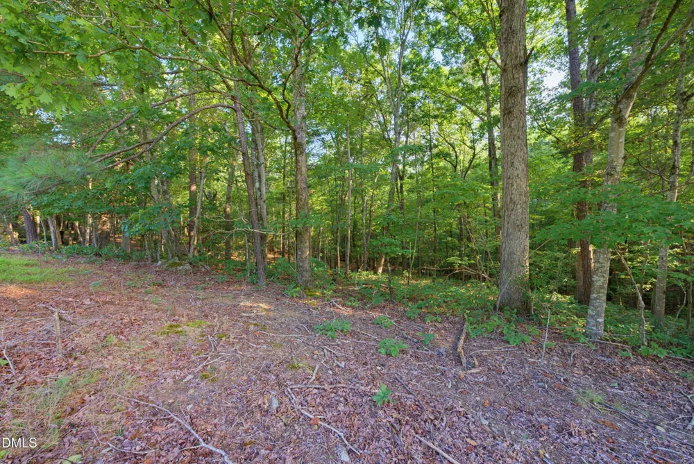 100 Sloping Pond Road Pittsboro, NC 27312