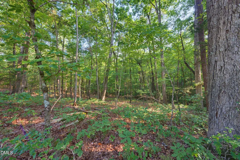 100 Sloping Pond Road Pittsboro, NC 27312