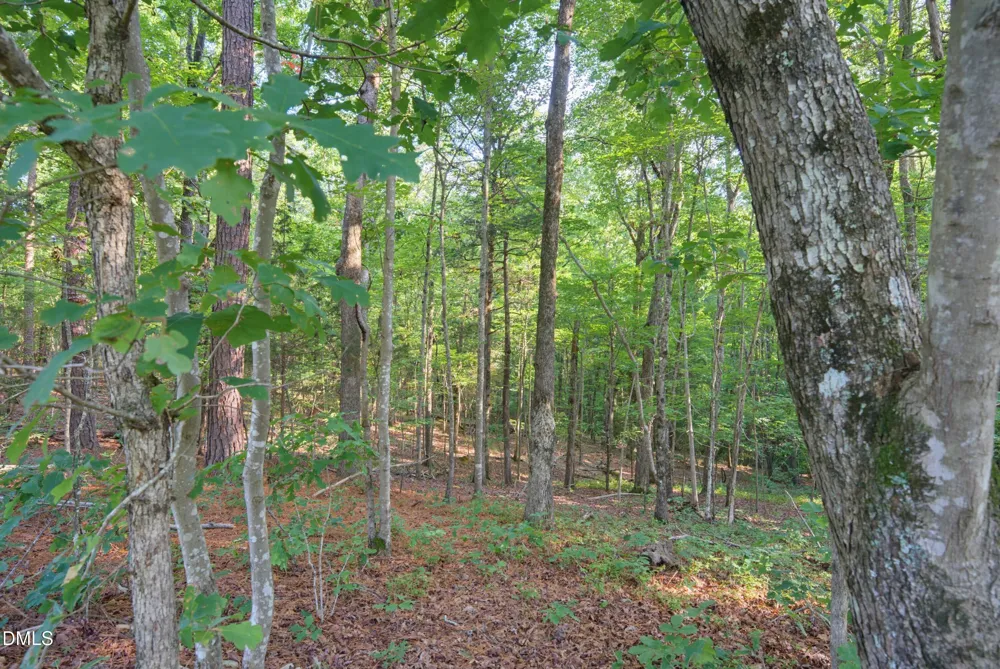 100 Sloping Pond Road Pittsboro, NC 27312