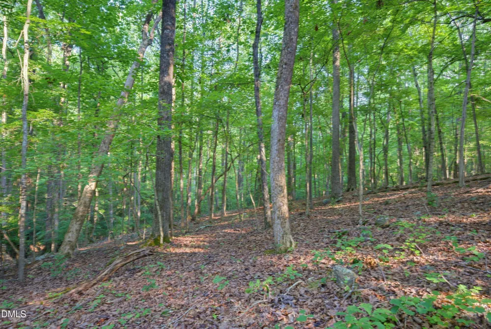 100 Sloping Pond Road Pittsboro, NC 27312