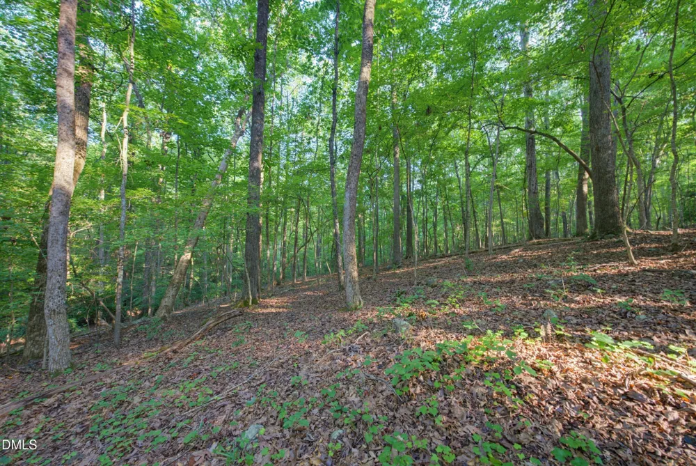 100 Sloping Pond Road Pittsboro, NC 27312