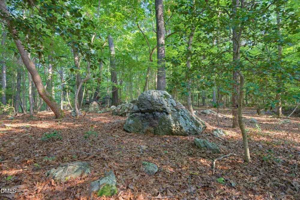 100 Sloping Pond Road Pittsboro, NC 27312