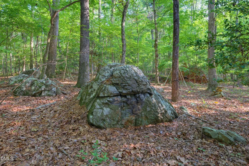 100 Sloping Pond Road Pittsboro, NC 27312