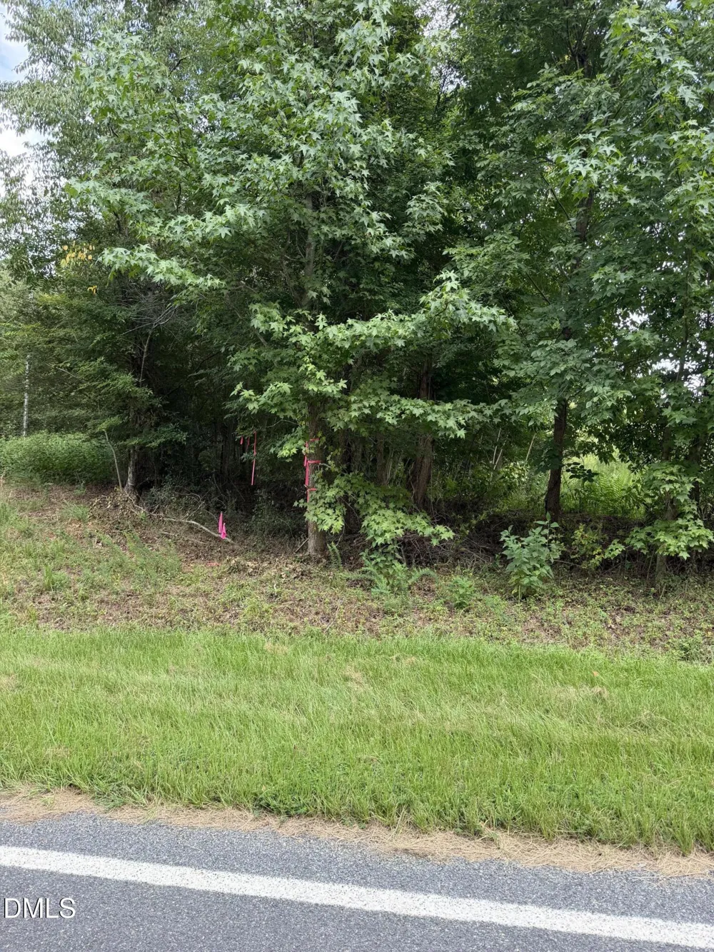 00 Chatham Church Road Moncure, NC 27559