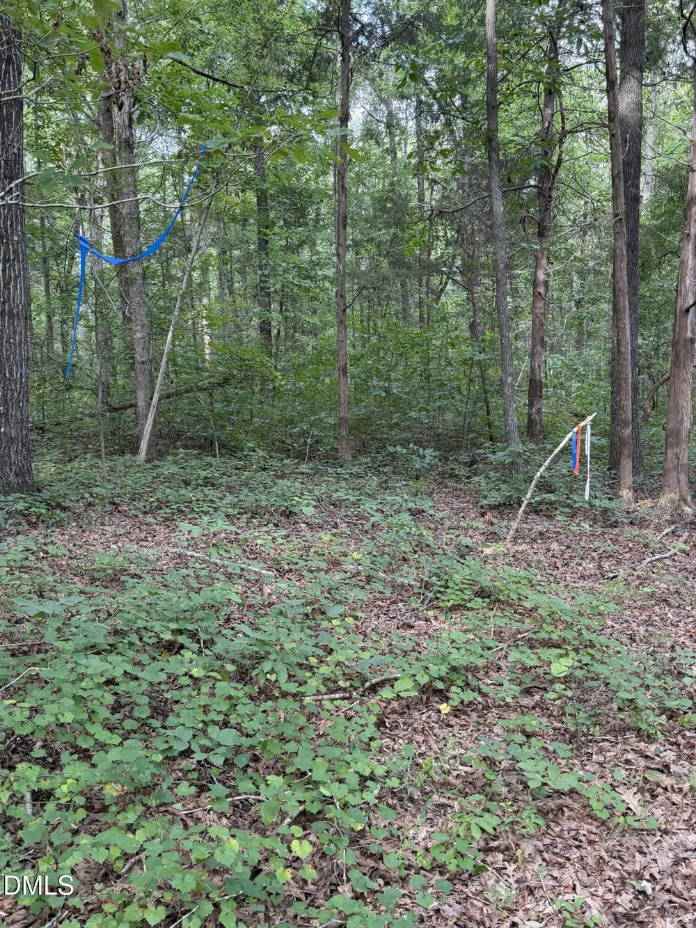 00 Chatham Church Road Moncure, NC 27559