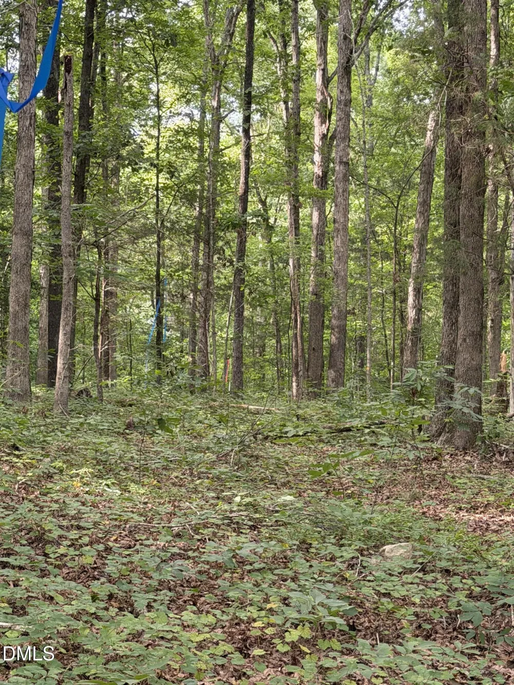 00 Chatham Church Road Moncure, NC 27559