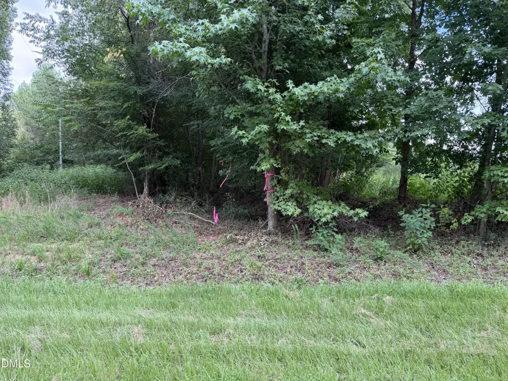 00 Chatham Church Road Moncure, NC 27559