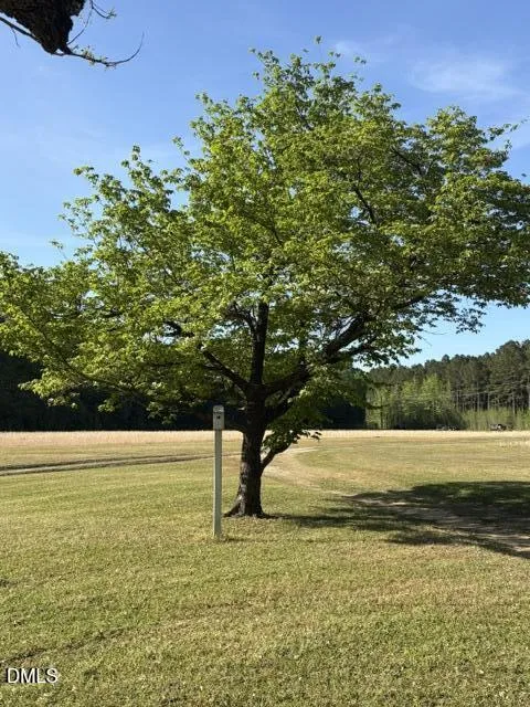 3129 Us 401 Lillington, NC 27546