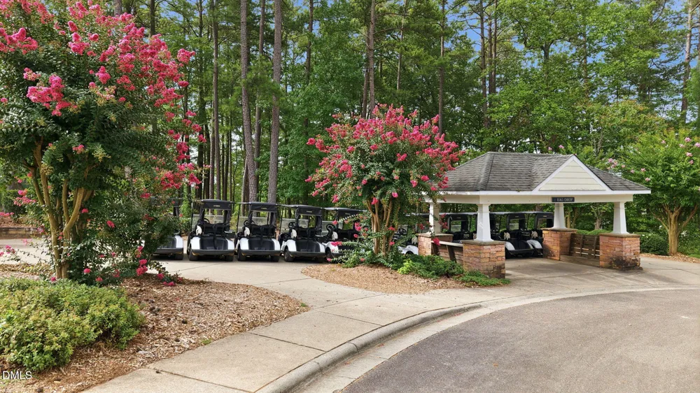 100 Golden Heather Chapel Hill, NC 27517