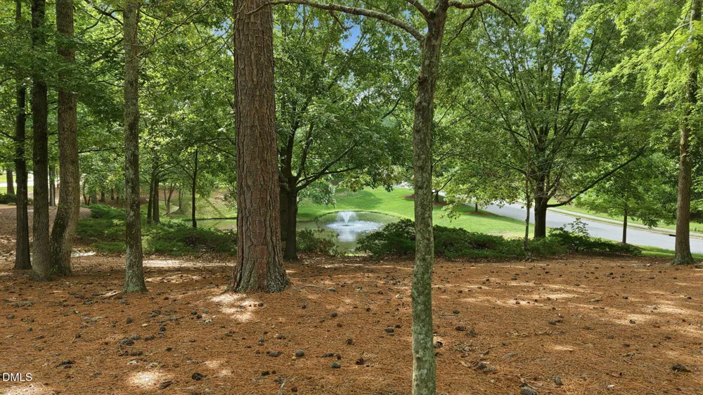 100 Golden Heather Chapel Hill, NC 27517