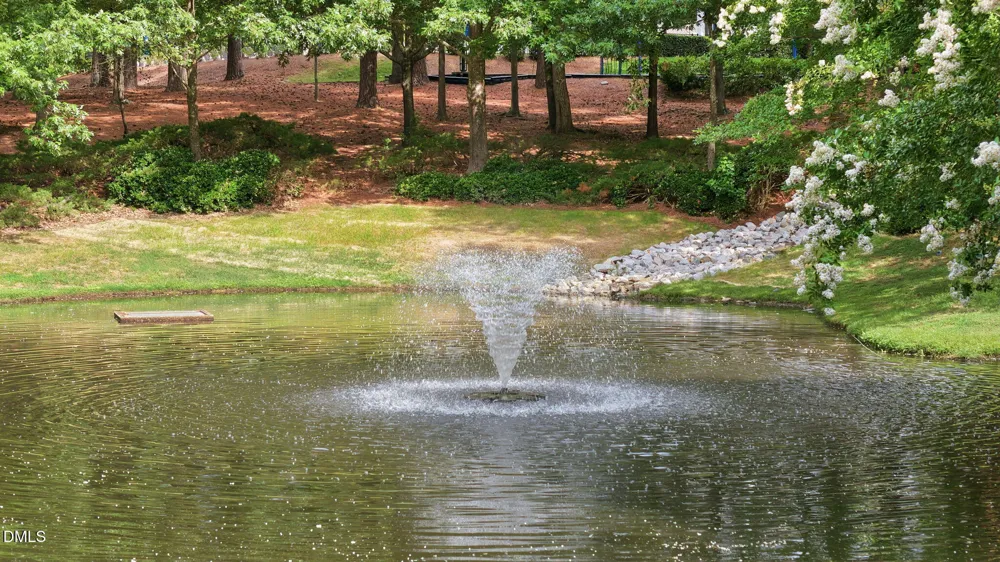 100 Golden Heather Chapel Hill, NC 27517