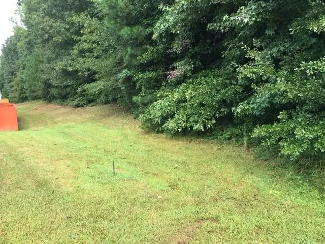 98 Verrazano Place Clayton, NC 27520