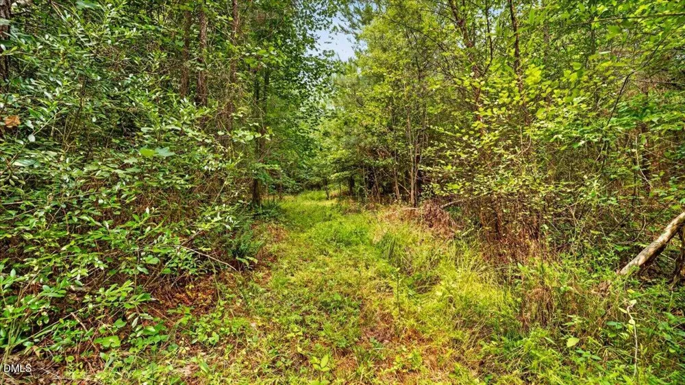 0 Blacks Road Macon, NC 27551