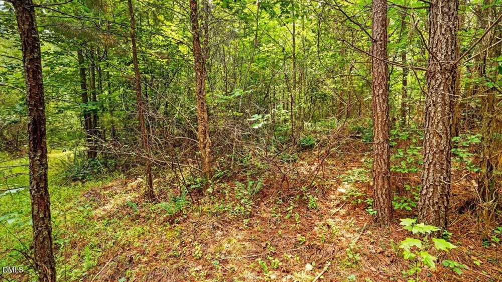 0 Blacks Road Macon, NC 27551