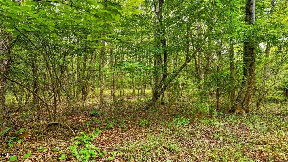 0 Blacks Road Macon, NC 27551