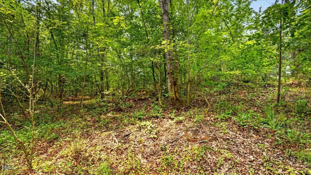 0 Blacks Road Macon, NC 27551