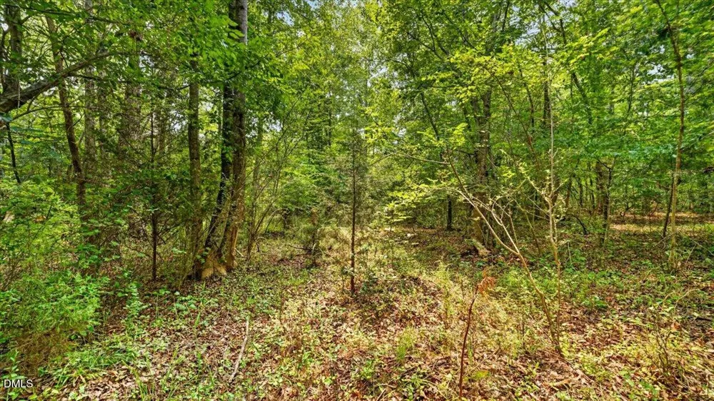 0 Blacks Road Macon, NC 27551