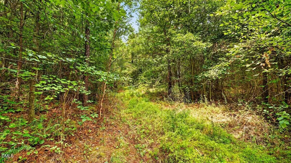 0 Blacks Road Macon, NC 27551
