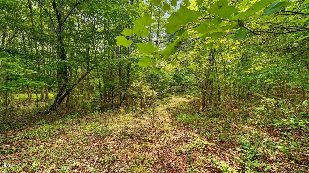 0 Blacks Road Macon, NC 27551