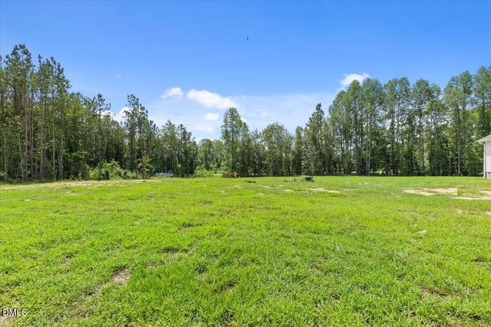 20 Bambi Lane Louisburg, NC 27549