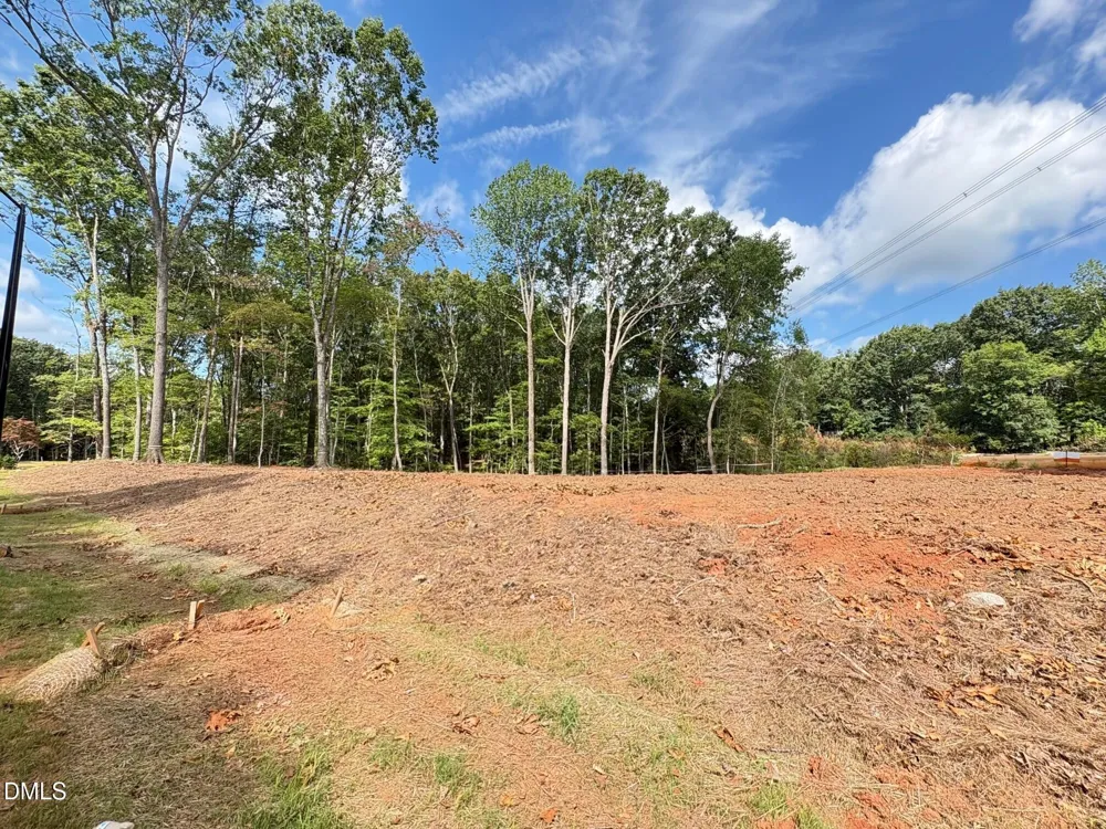 7429 Blantons Grove Way Wake Forest, NC 27587