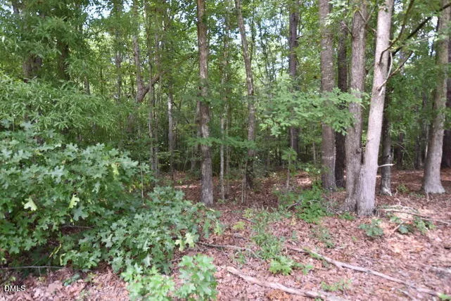 00 Garner Road Snow Camp, NC 27349
