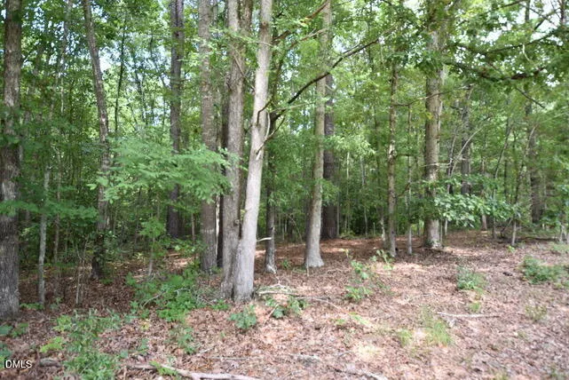 00 Garner Road Snow Camp, NC 27349