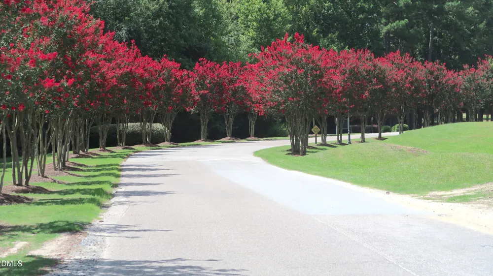89 Gallery Drive #203 Spring Lake, NC 28390
