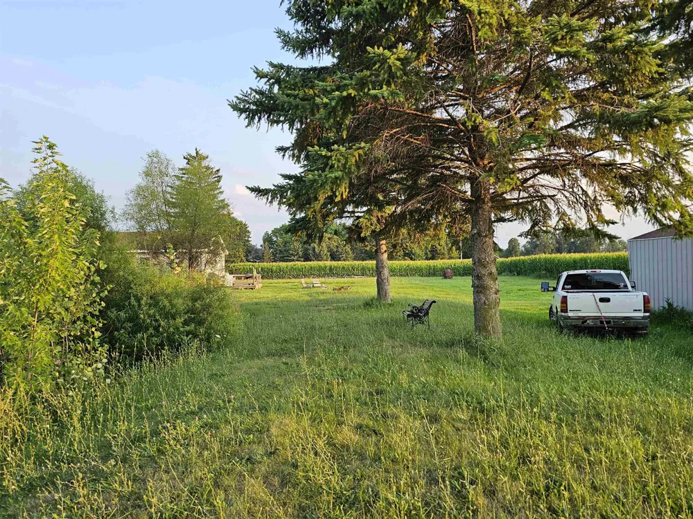 11465 Begole Road Pine River Township, MI 48880