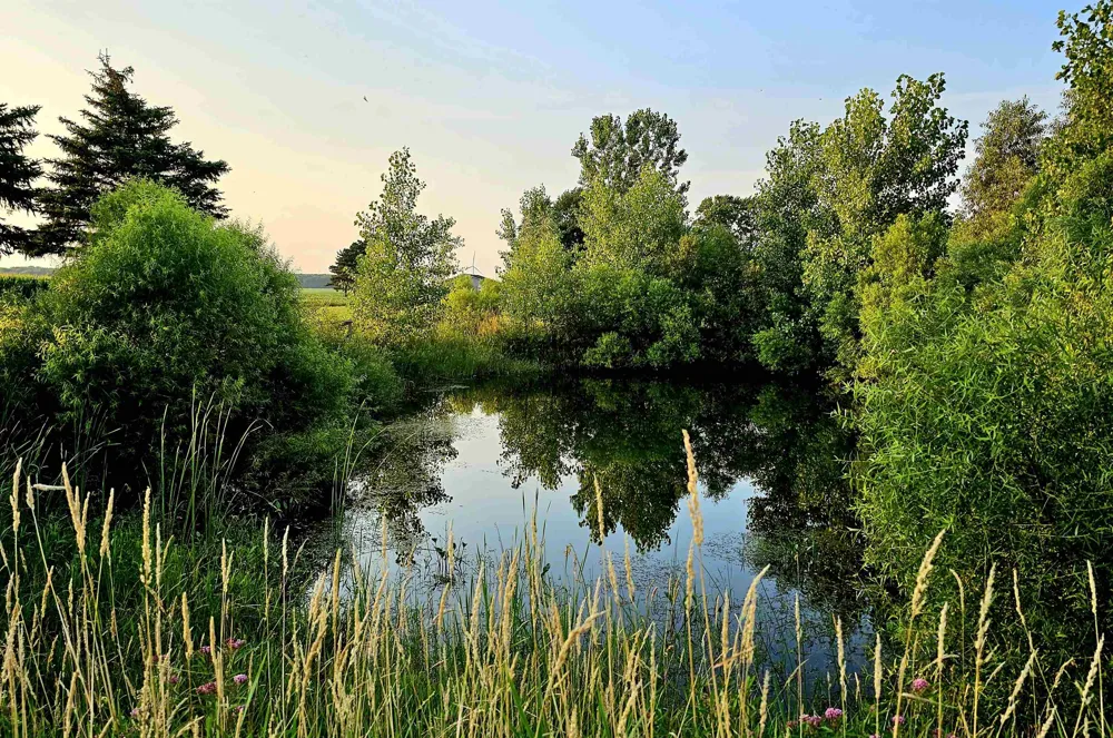 11465 Begole Road Pine River Township, MI 48880
