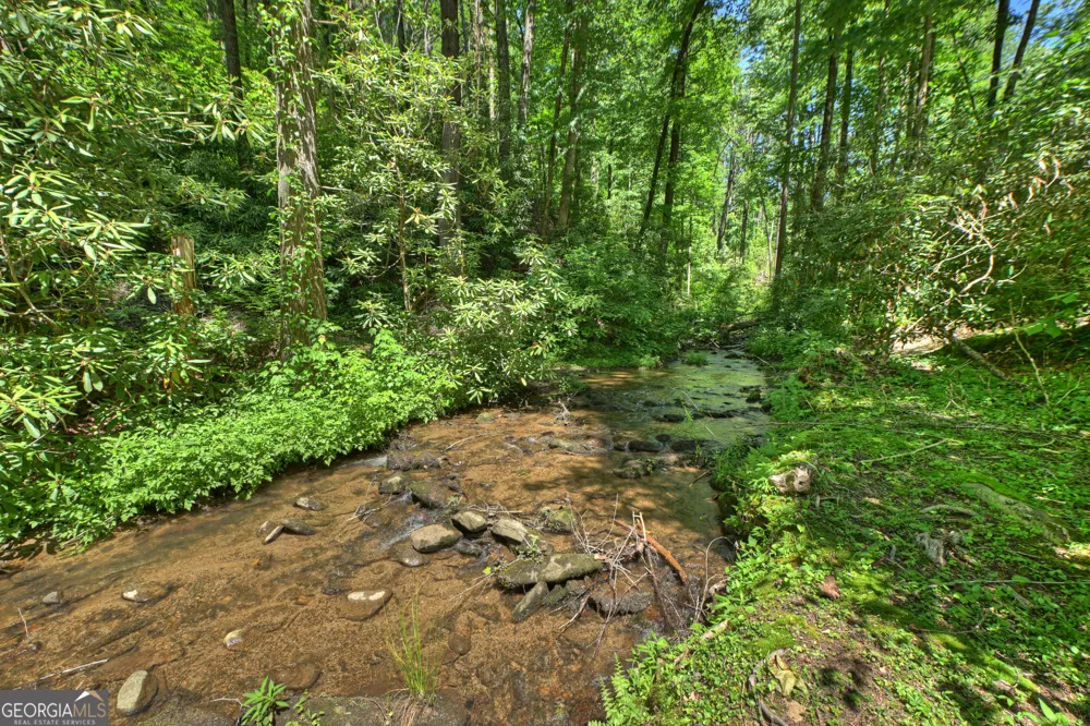 280 Serenity Place Ellijay, GA 30540
