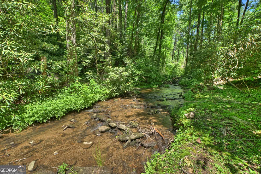 280 Serenity Place Ellijay, GA 30540