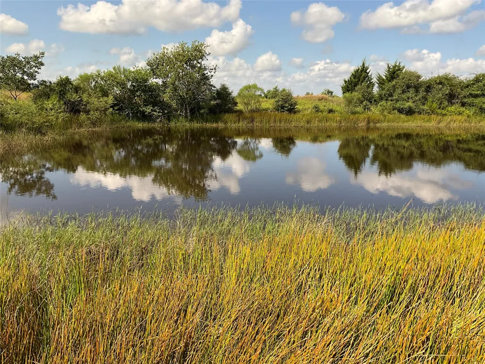 Drymalla Rd Cat Spring, TX 78933