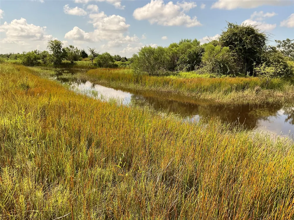 Drymalla Rd Cat Spring, TX 78933