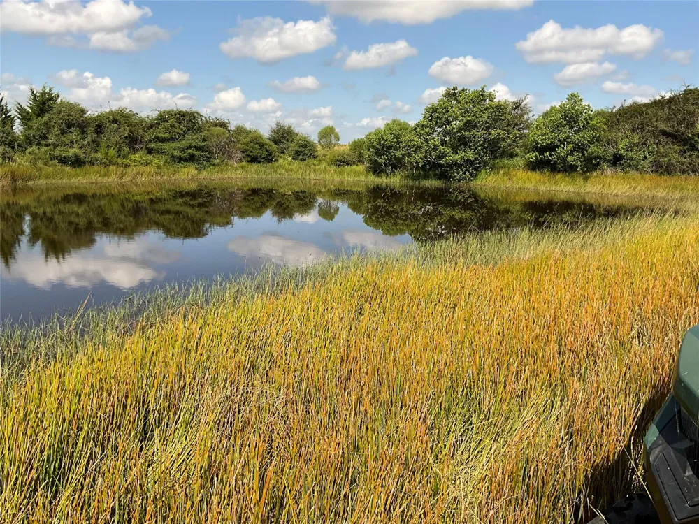 Drymalla Rd Cat Spring, TX 78933